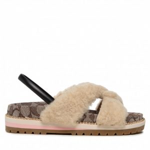 Sandały COACH - Tally Shearlg Sandal C5885 11002151EDC Natural Nat